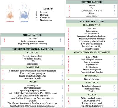 Dynamics and consequences of nutrition-related microbial dysbiosis in early life: study protocol of the VITERBI GUT project